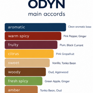 ODYN main accords chart showing aromatic, warm spicy, fruity, citrus, sweet, woody, fresh spicy, and amber notes