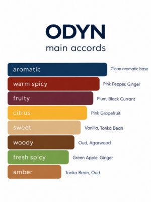 ODYN main accords chart showing aromatic, warm spicy, fruity, citrus, sweet, woody, fresh spicy, and amber notes