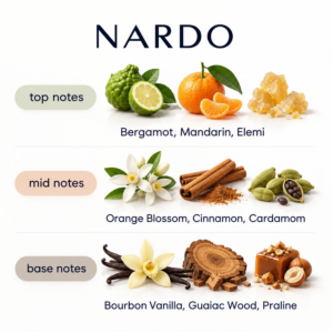 ABBODA NARDO fragrance note chart showing top notes of bergamot, mandarin, and elemi; mid notes of orange blossom, cinnamon, and cardamom; and base notes of bourbon vanilla, guaiac wood, and praline.